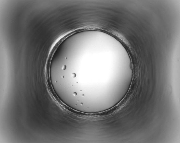 X0000085080936200703191321