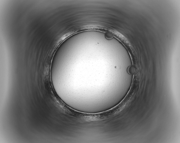 X0000085080937200703191321