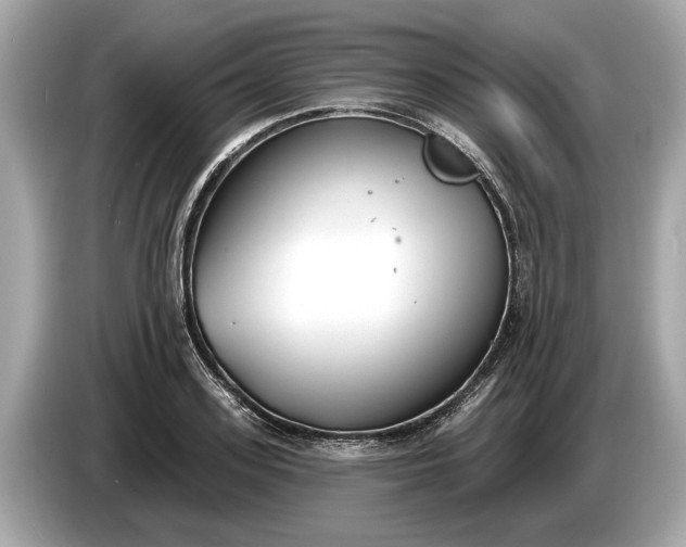 X0000085080939200703191321