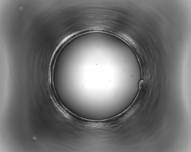 X0000085080940200703191321