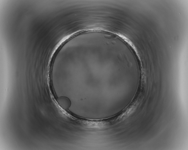 X0000085080941200703191321