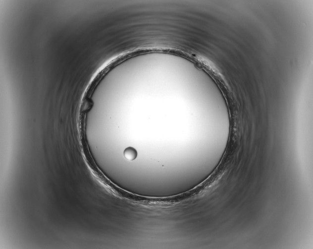 X0000085080942200703191321