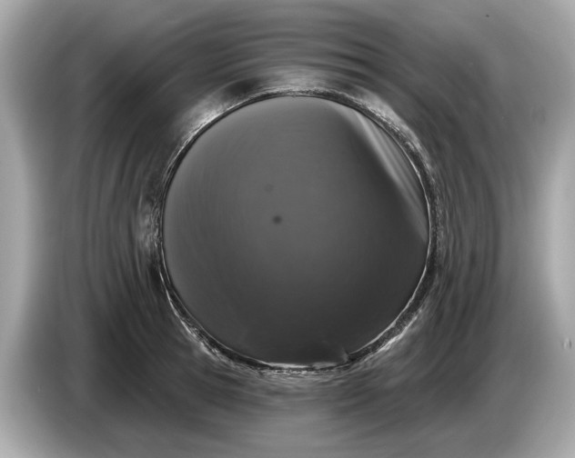 X0000085080945200703191321