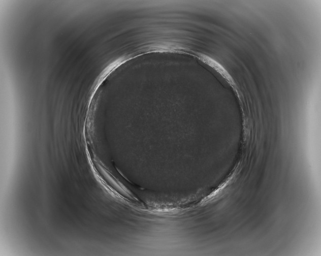 X0000085080946200703191321