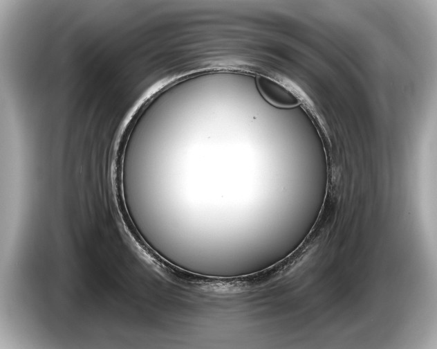 X0000085080947200703191321