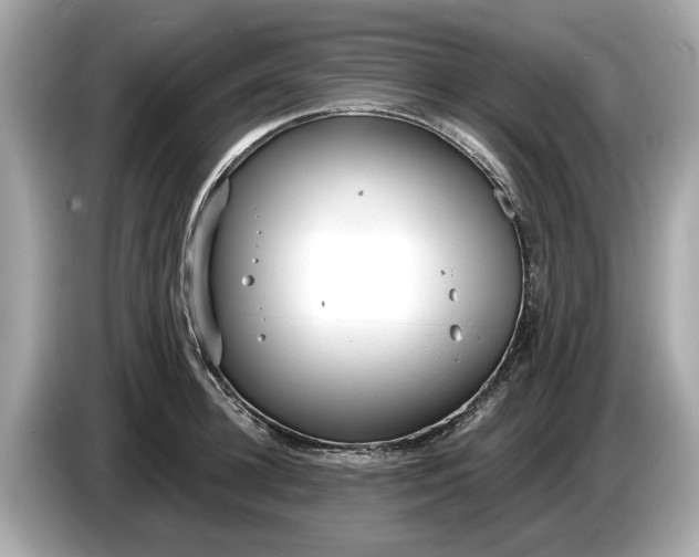 X0000085080948200703191321