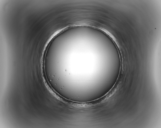 X0000085080949200703191321