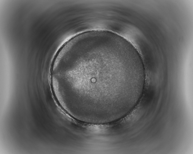 X0000085080950200703191321