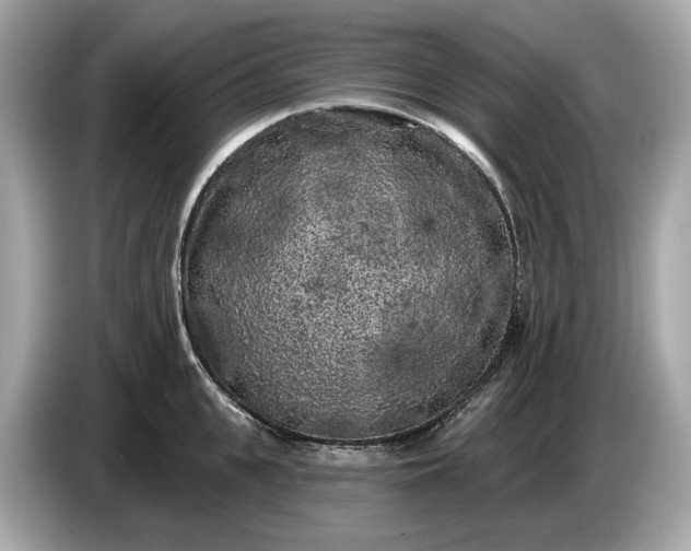 X0000085080951200703191321