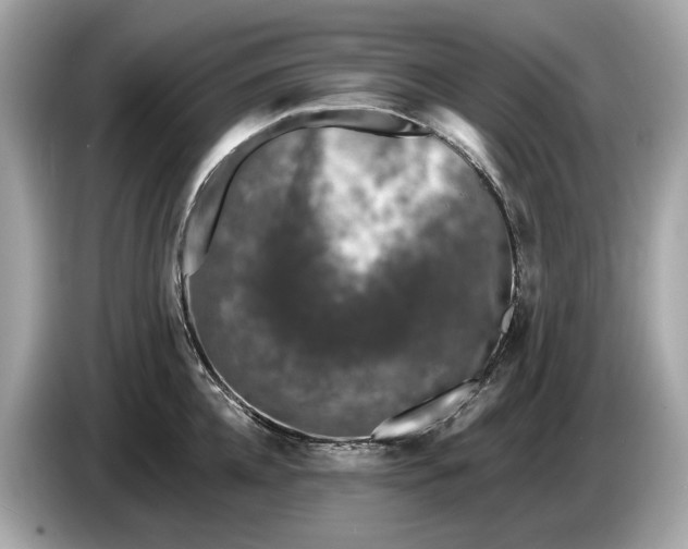 X0000085080952200703191321