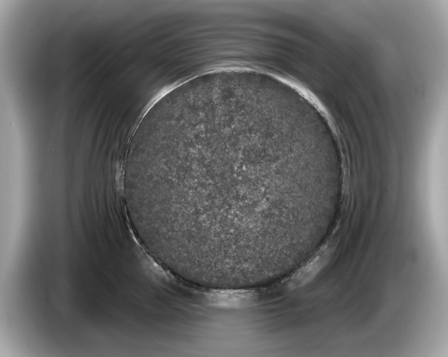 X0000085080953200703191321