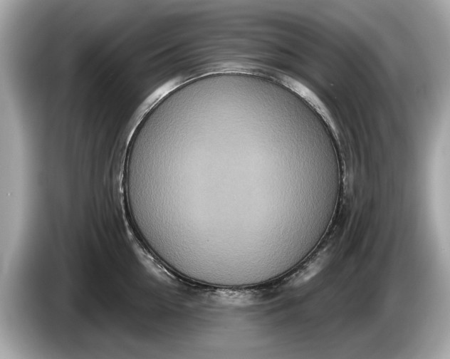 X0000085080954200703191321