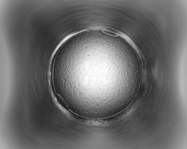 X0000085080955200703191321