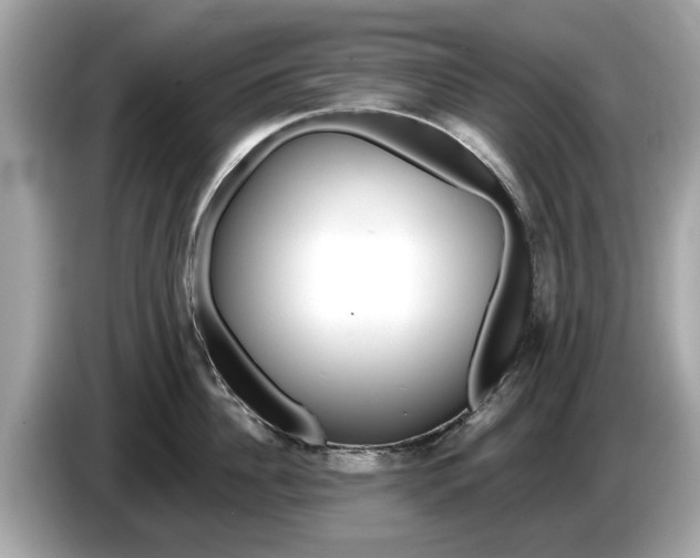 X0000085080956200703191321