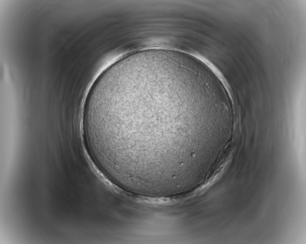 X0000085080957200703191321