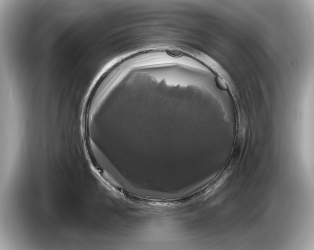 X0000085080958200703191321