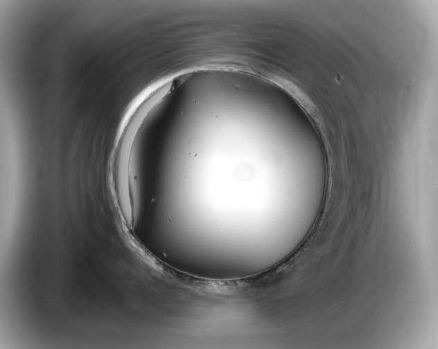 X0000085080960200703191321