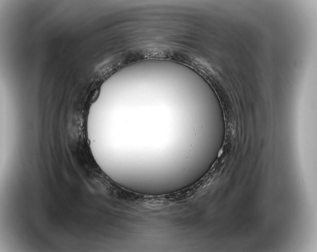 X0000085080964200703191320