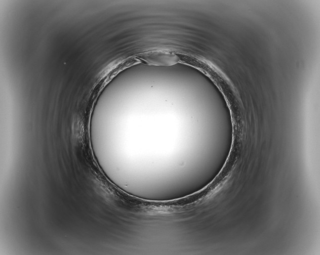 X0000085080969200703191320