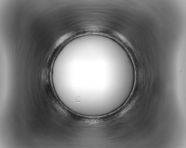 X0000085080970200703191320