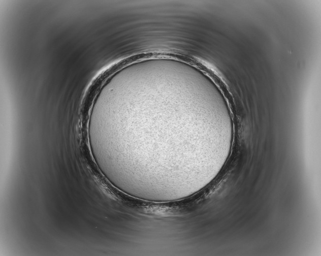 X0000085080971200703191320