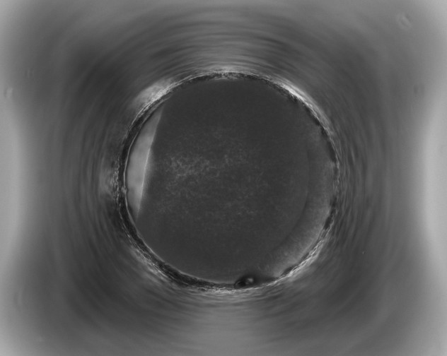 X0000085080977200703191320