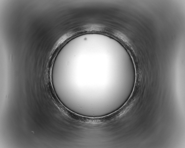 X0000085080978200703191320