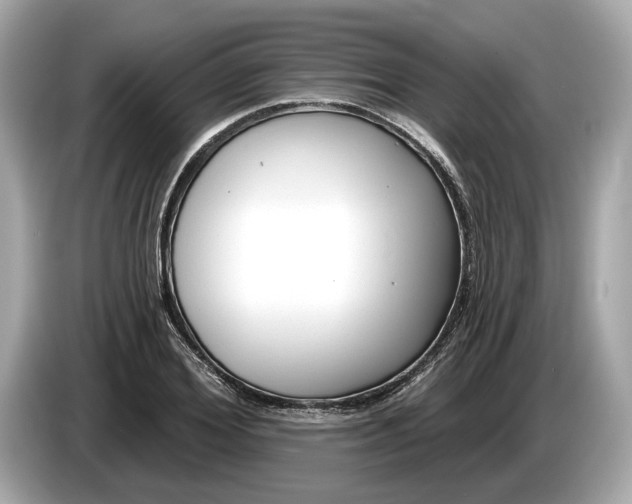 X0000085080980200703191320