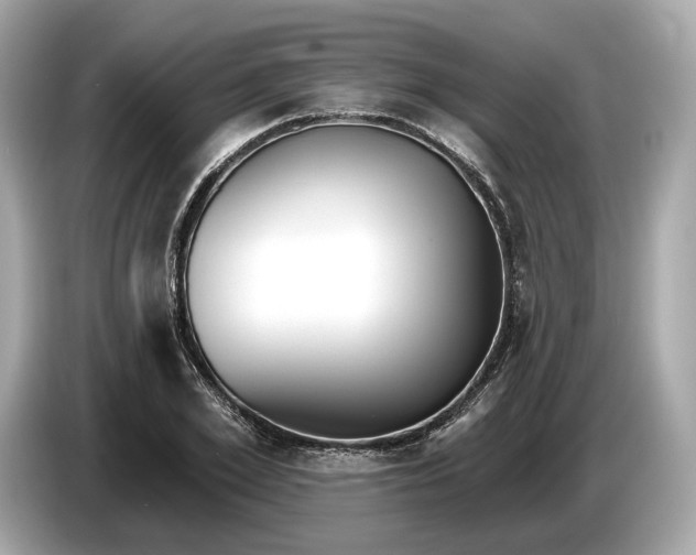 X0000085080981200703191320