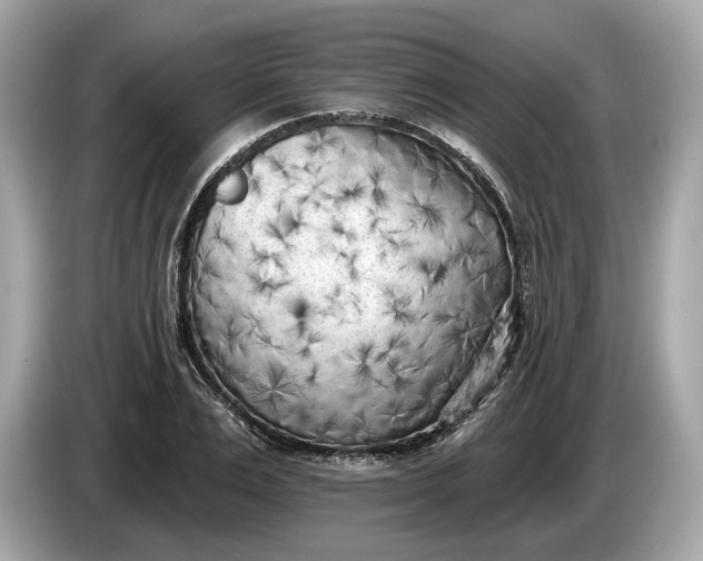 X0000085080983200703191320