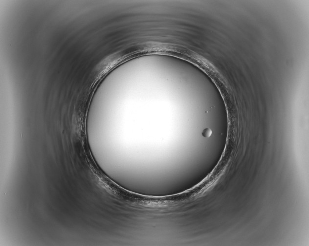 X0000085080985200703191320