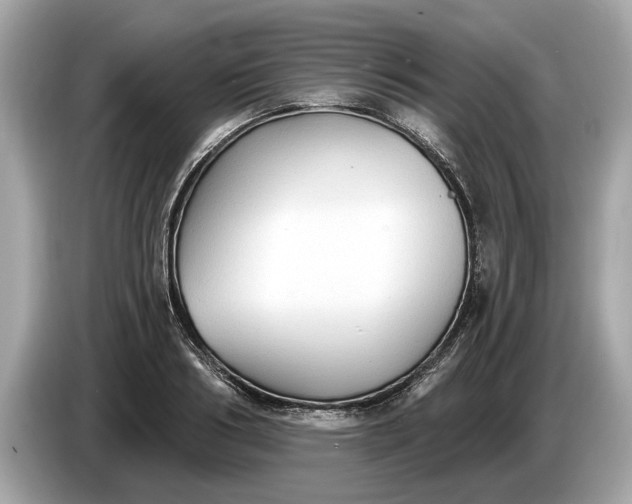 X0000085080986200703191320