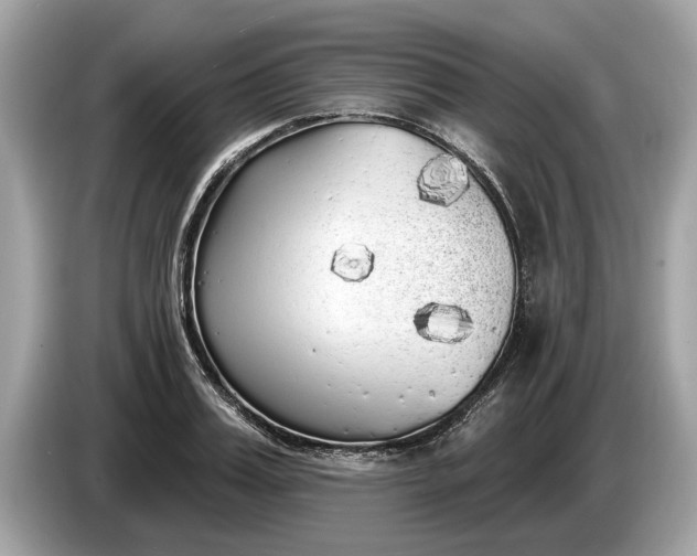 X0000085080987200703191320