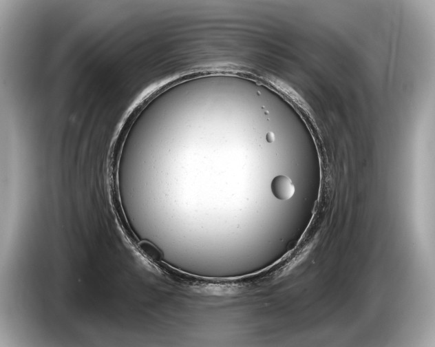 X0000085080989200703191320