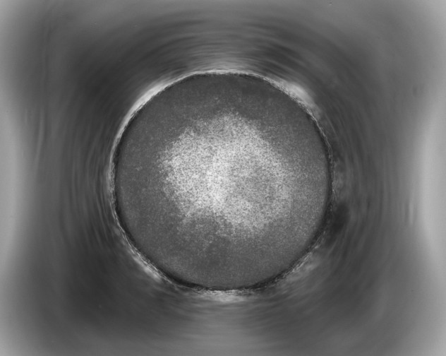 X0000085080990200703191320