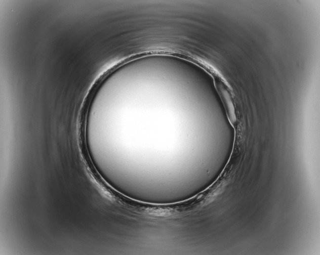 X0000085080991200703191320