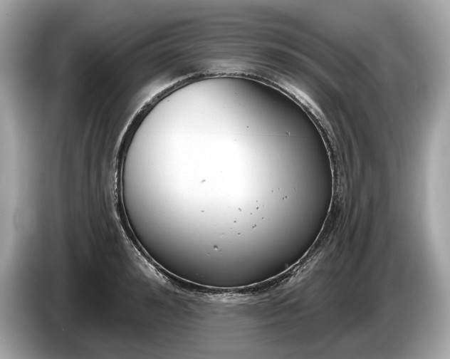 X0000085080992200703191320