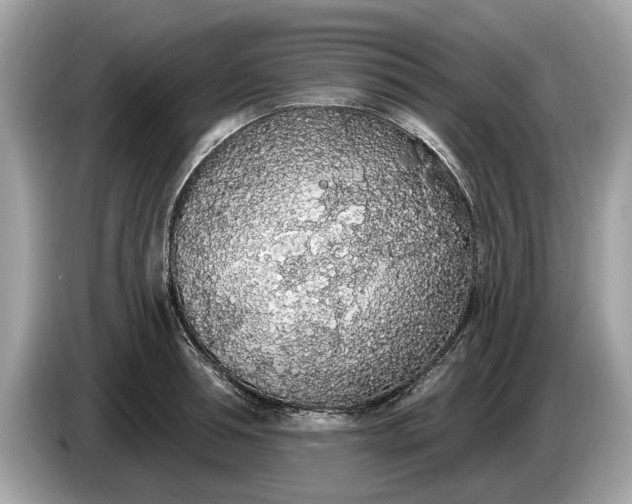 X0000085080994200703191320