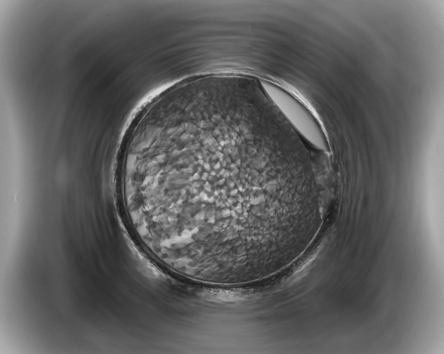 X0000085080995200703191320