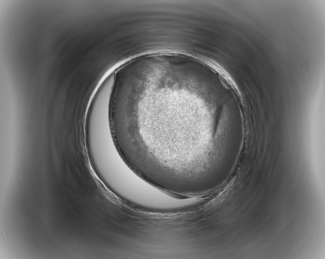 X0000085080996200703191320