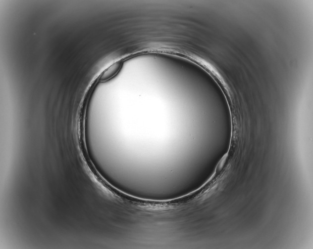 X0000085080999200703191320