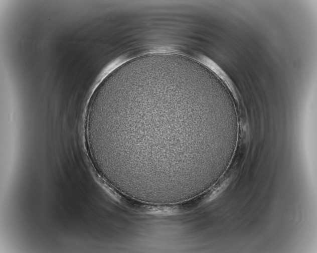 X0000085081002200703191320