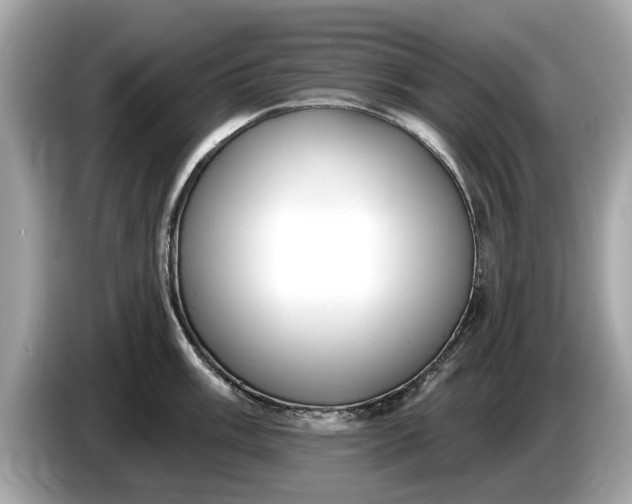 X0000085081003200703191320