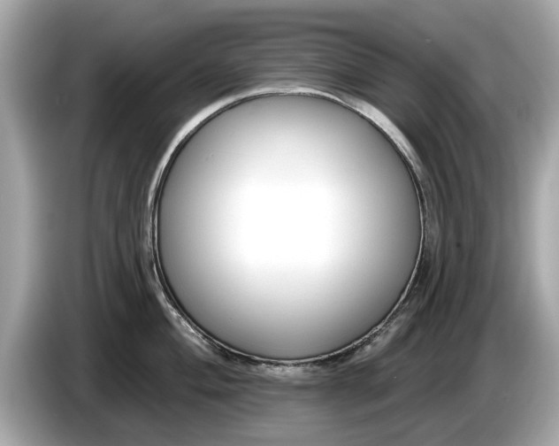 X0000085081004200703191320