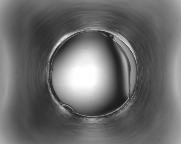 X0000085081005200703191320