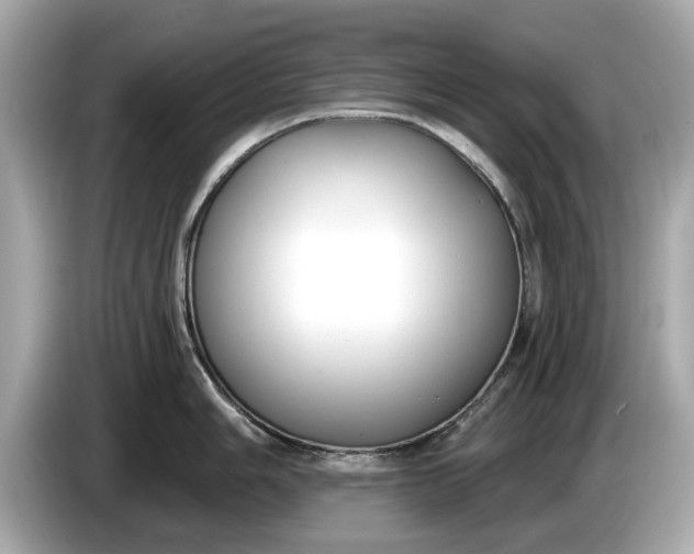 X0000085081006200703191320