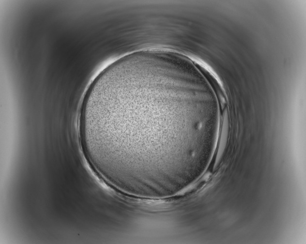 X0000085081007200703191320