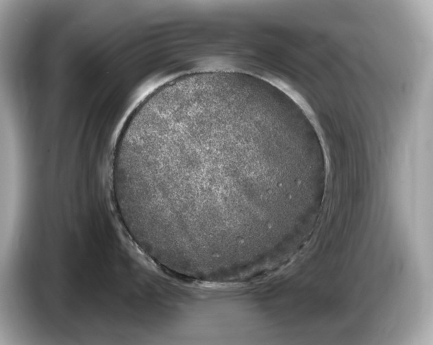 X0000085081008200703191320