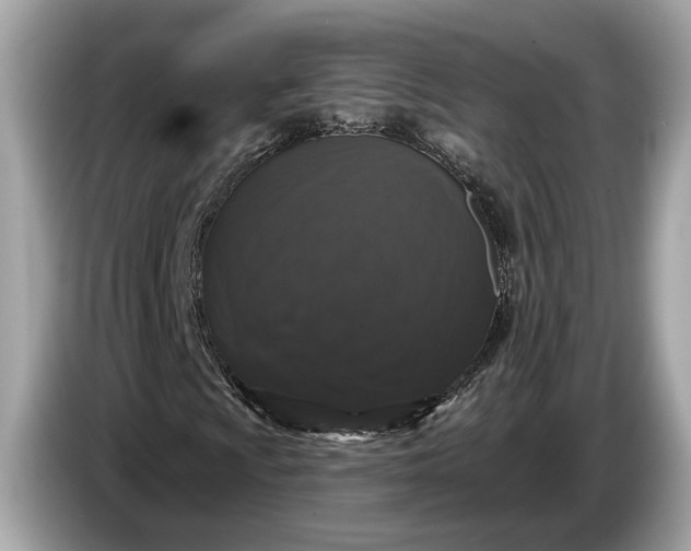 X0000085081009200703191319