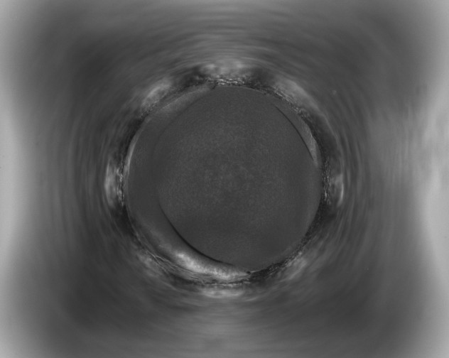 X0000085081010200703191319